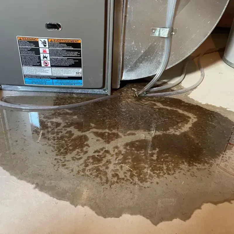 Appliance Leak Cleanup in Orland Hills, IL